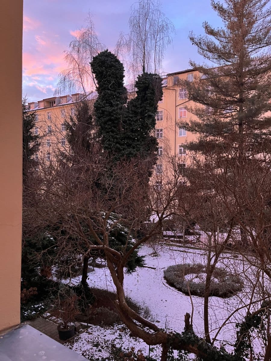 Pronájem bytu 2+kk 45 m², Rejskova, Praha, Praha Pronájem bytu 2+kk 45 m², Rejskova, Praha, Praha