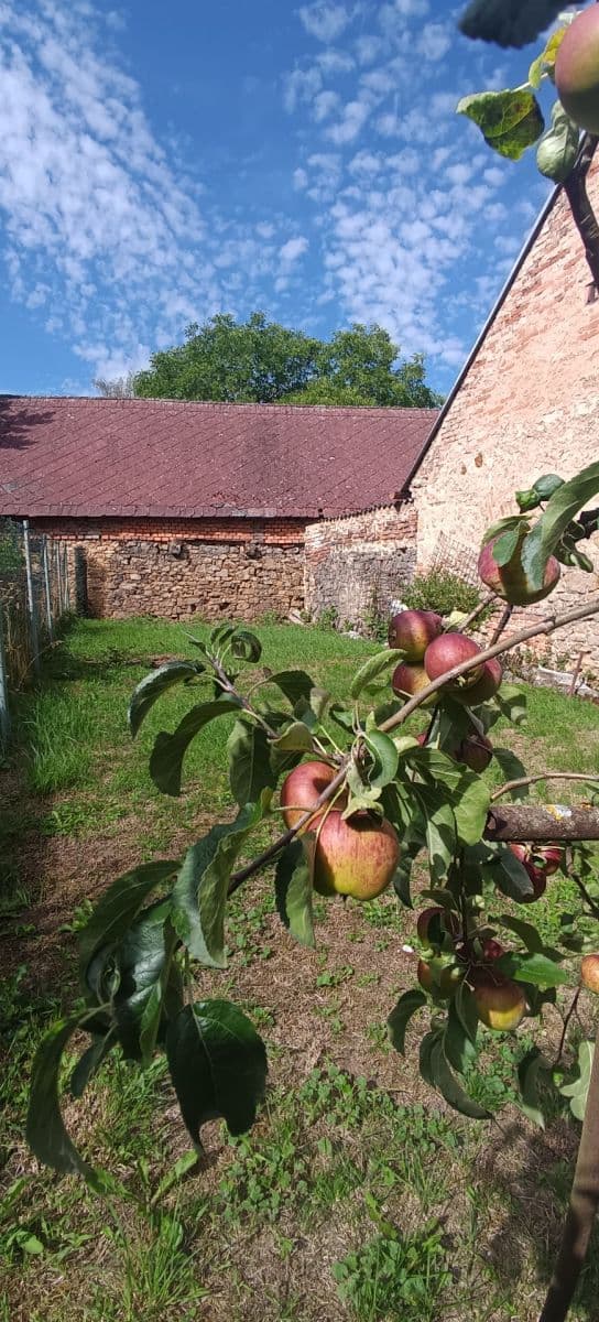 Pronájem domu 60 m², pozemek 260 m², Mezouň, Středočeský kraj Pronájem domu 60 m², pozemek 260 m², Mezouň, Středočeský kraj