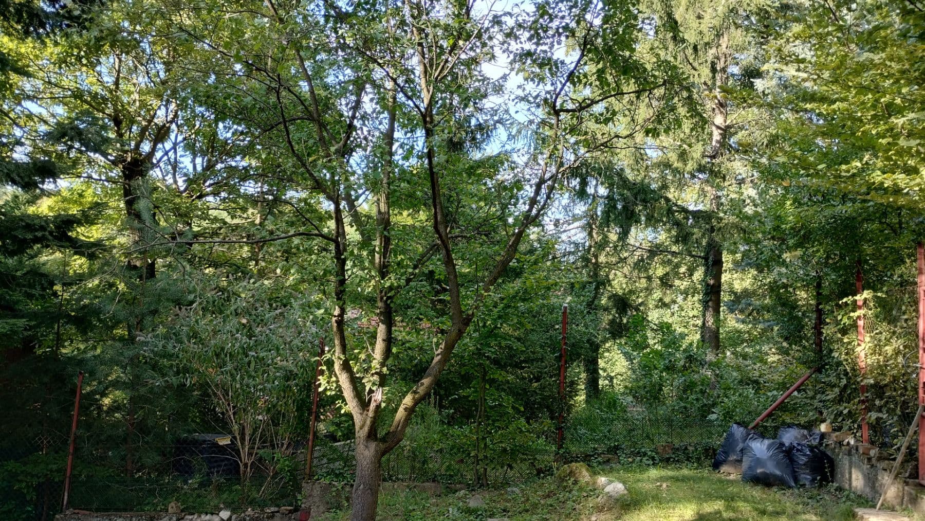 Prodej chaty, chalupy 32 m², pozemek 374 m², Plánky, Záhorská Bystrica, Bratislavský kraj Prodej chaty, chalupy 32 m², pozemek 374 m², Plánky, Záhorská Bystrica, Bratislavský kraj