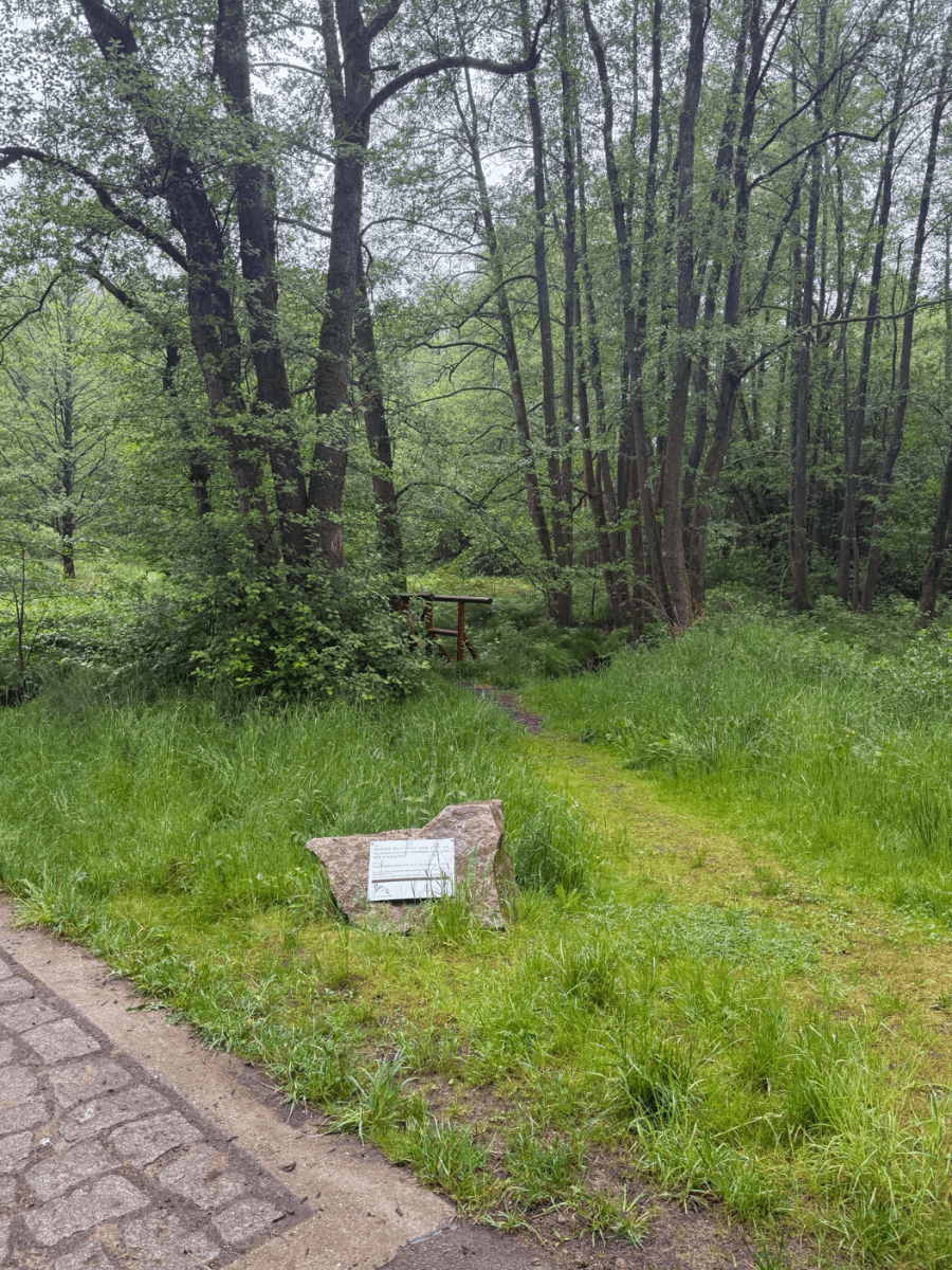 Prodej pozemku 9.770 m², Lipová, Karlovarský kraj Prodej pozemku 9.770 m², Lipová, Karlovarský kraj