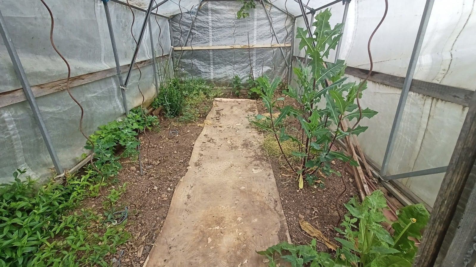 Prodej domu 74 m², pozemek 2.329 m², Hořesedly, Středočeský kraj Prodej domu 74 m², pozemek 2.329 m², Hořesedly, Středočeský kraj