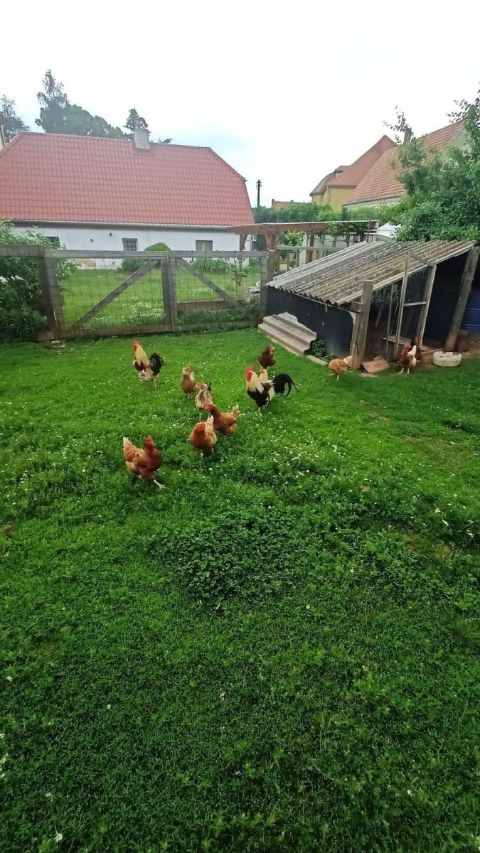Prodej domu 74 m², pozemek 2.329 m², Hořesedly, Středočeský kraj Prodej domu 74 m², pozemek 2.329 m², Hořesedly, Středočeský kraj