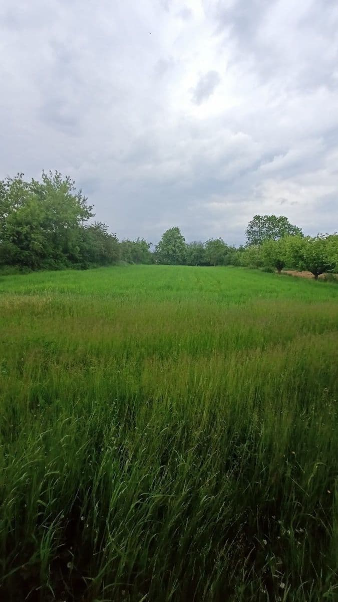 Prodej domu 74 m², pozemek 2.329 m², Hořesedly, Středočeský kraj Prodej domu 74 m², pozemek 2.329 m², Hořesedly, Středočeský kraj