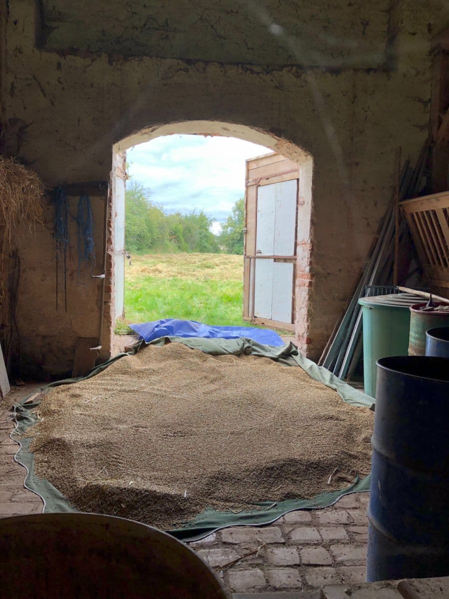 Prodej domu 74 m², pozemek 2.329 m², Hořesedly, Středočeský kraj Prodej domu 74 m², pozemek 2.329 m², Hořesedly, Středočeský kraj