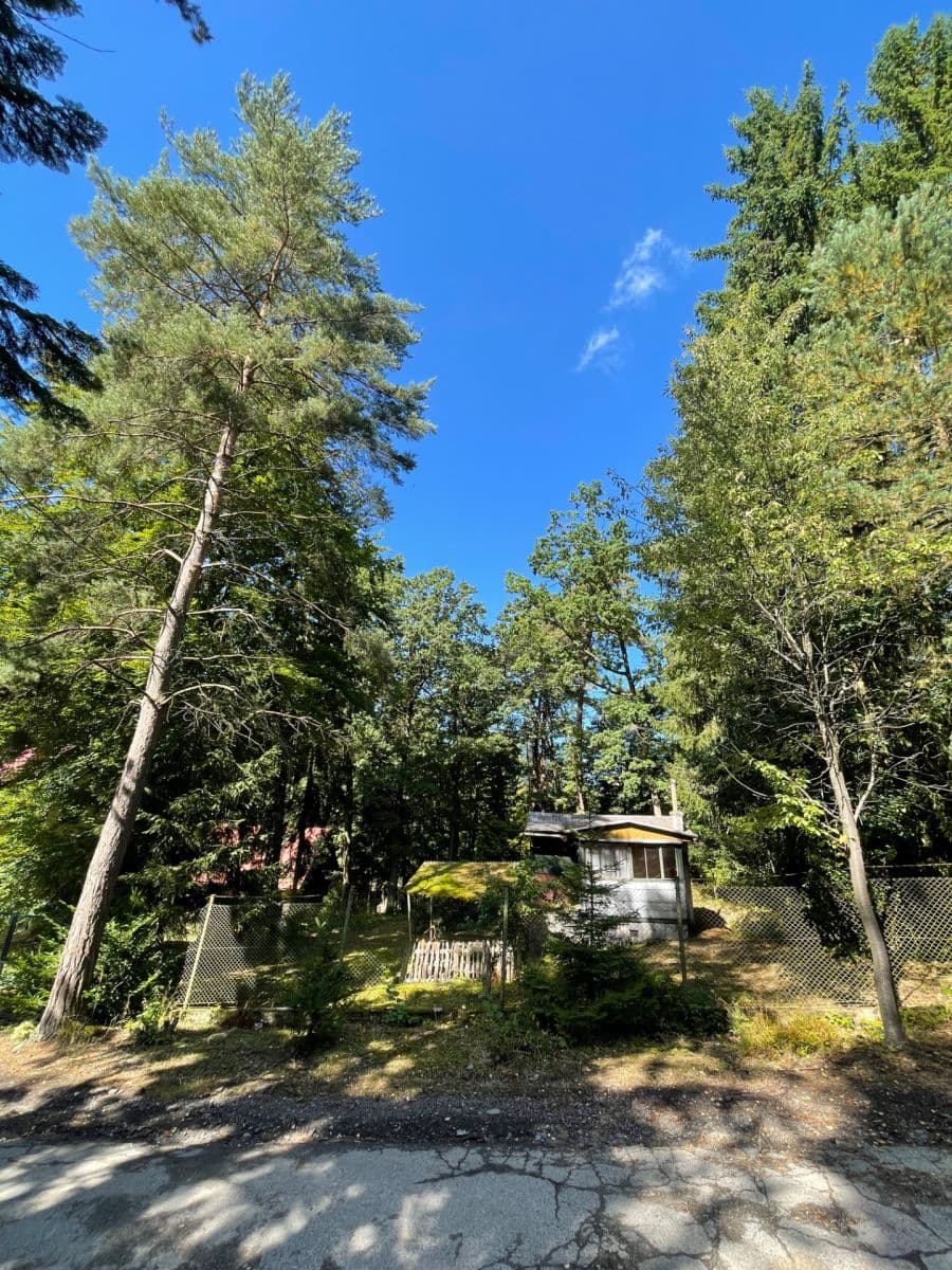 Prodej pozemku 1.003 m², Lesní, Jevany, Středočeský kraj Prodej pozemku 1.003 m², Lesní, Jevany, Středočeský kraj