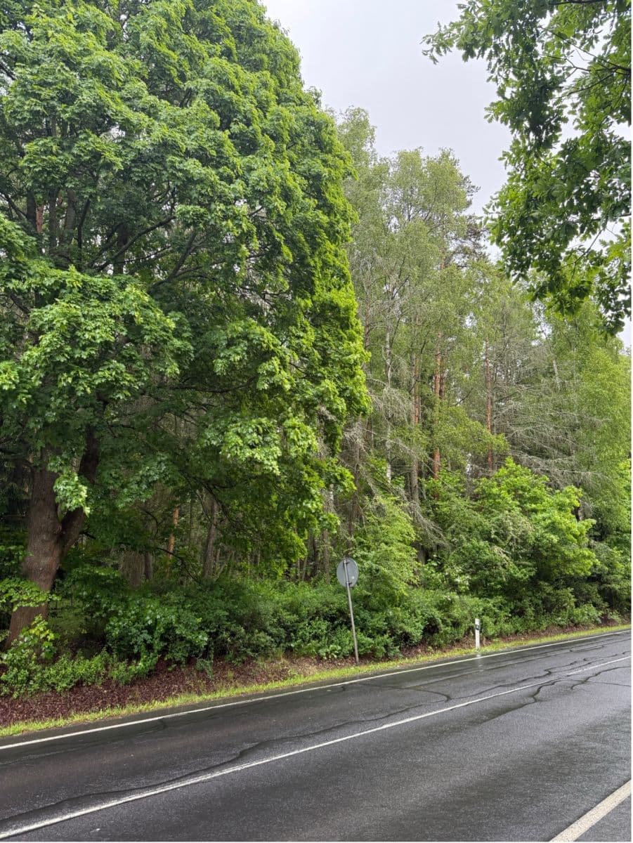 Prodej pozemku 840 m², Cheb, Karlovarský kraj Prodej pozemku 840 m², Cheb, Karlovarský kraj