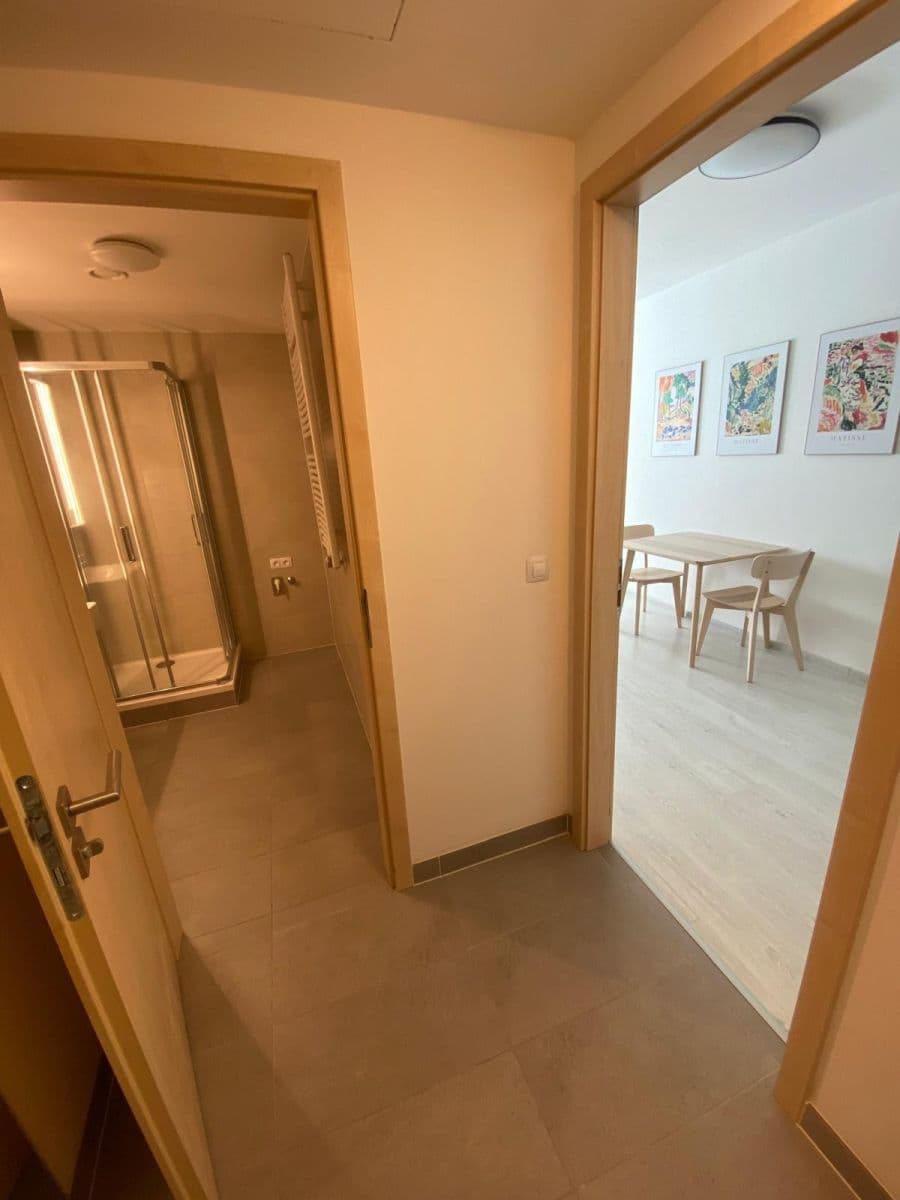 Pronájem bytu 1+kk 42 m², Petržílkova, Praha, Praha Pronájem bytu 1+kk 42 m², Petržílkova, Praha, Praha