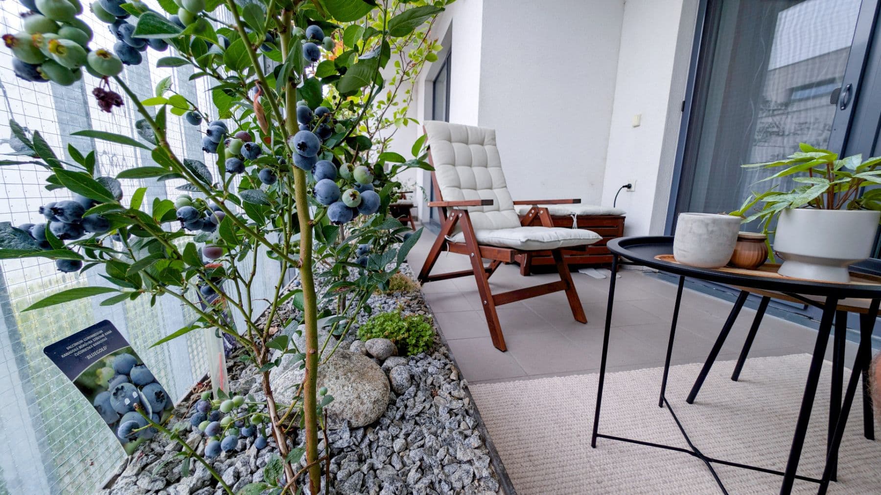 Pronájem bytu 2+kk 82 m², Rokycanova, Olomouc, Olomoucký kraj Pronájem bytu 2+kk 82 m², Rokycanova, Olomouc, Olomoucký kraj