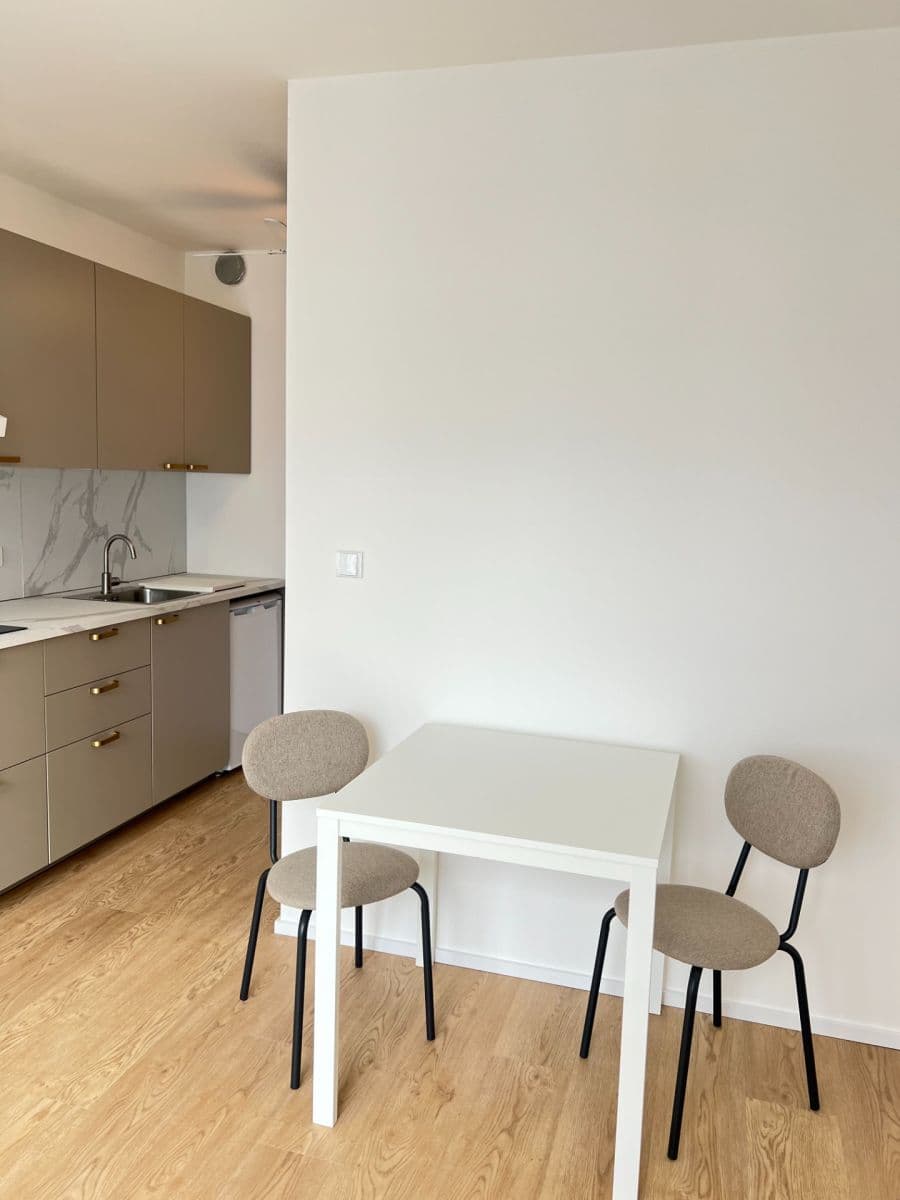 Pronájem bytu 1+kk 29 m², třída Generála Píky, Brno, Jihomoravský kraj Pronájem bytu 1+kk 29 m², třída Generála Píky, Brno, Jihomoravský kraj