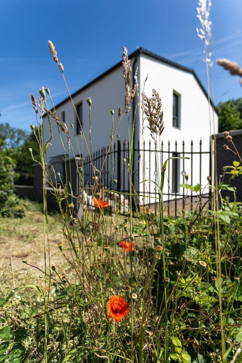 Prodej domu 159 m², pozemek 879 m², U Lesíka, Nová Ves, Středočeský kraj Prodej domu 159 m², pozemek 879 m², U Lesíka, Nová Ves, Středočeský kraj
