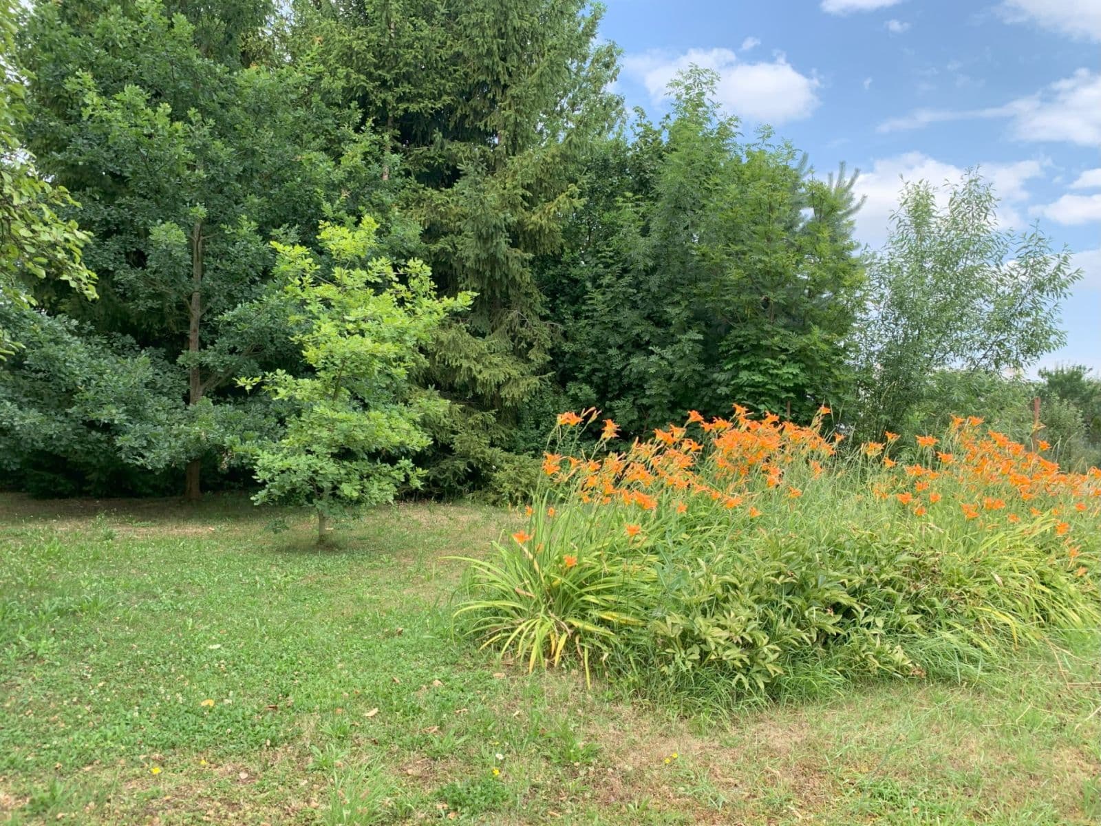 Prodej domu 200 m², pozemek 1.282 m², Požárníků, Dolní Bousov, Středočeský kraj Prodej domu 200 m², pozemek 1.282 m², Požárníků, Dolní Bousov, Středočeský kraj