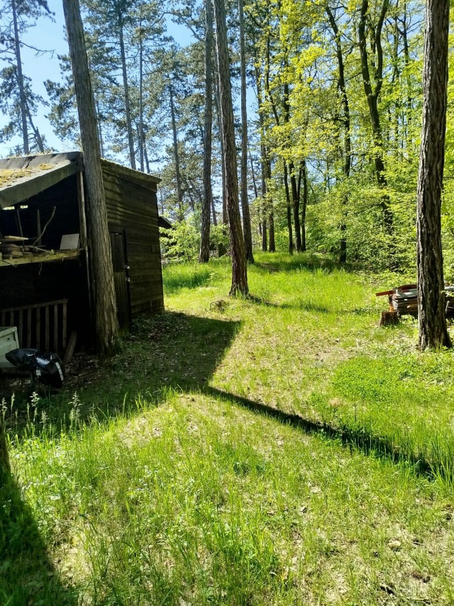 Prodej chaty, chalupy 80 m², pozemek 6.300 m², Na Spojce, Svatý Jan pod Skalou, Středočeský kraj Prodej chaty, chalupy 80 m², pozemek 6.300 m², Na Spojce, Svatý Jan pod Skalou, Středočeský kraj