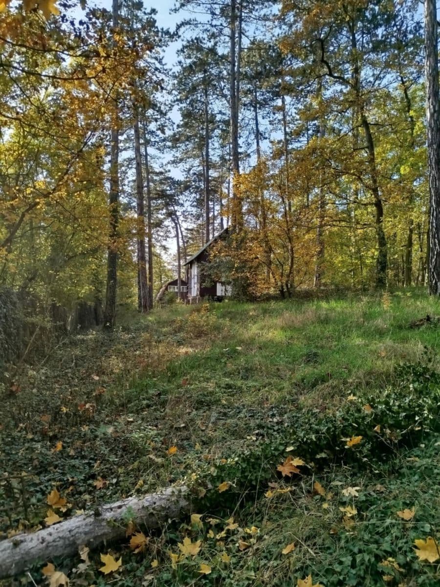 Prodej chaty, chalupy 80 m², pozemek 6.300 m², Na Spojce, Svatý Jan pod Skalou, Středočeský kraj Prodej chaty, chalupy 80 m², pozemek 6.300 m², Na Spojce, Svatý Jan pod Skalou, Středočeský kraj