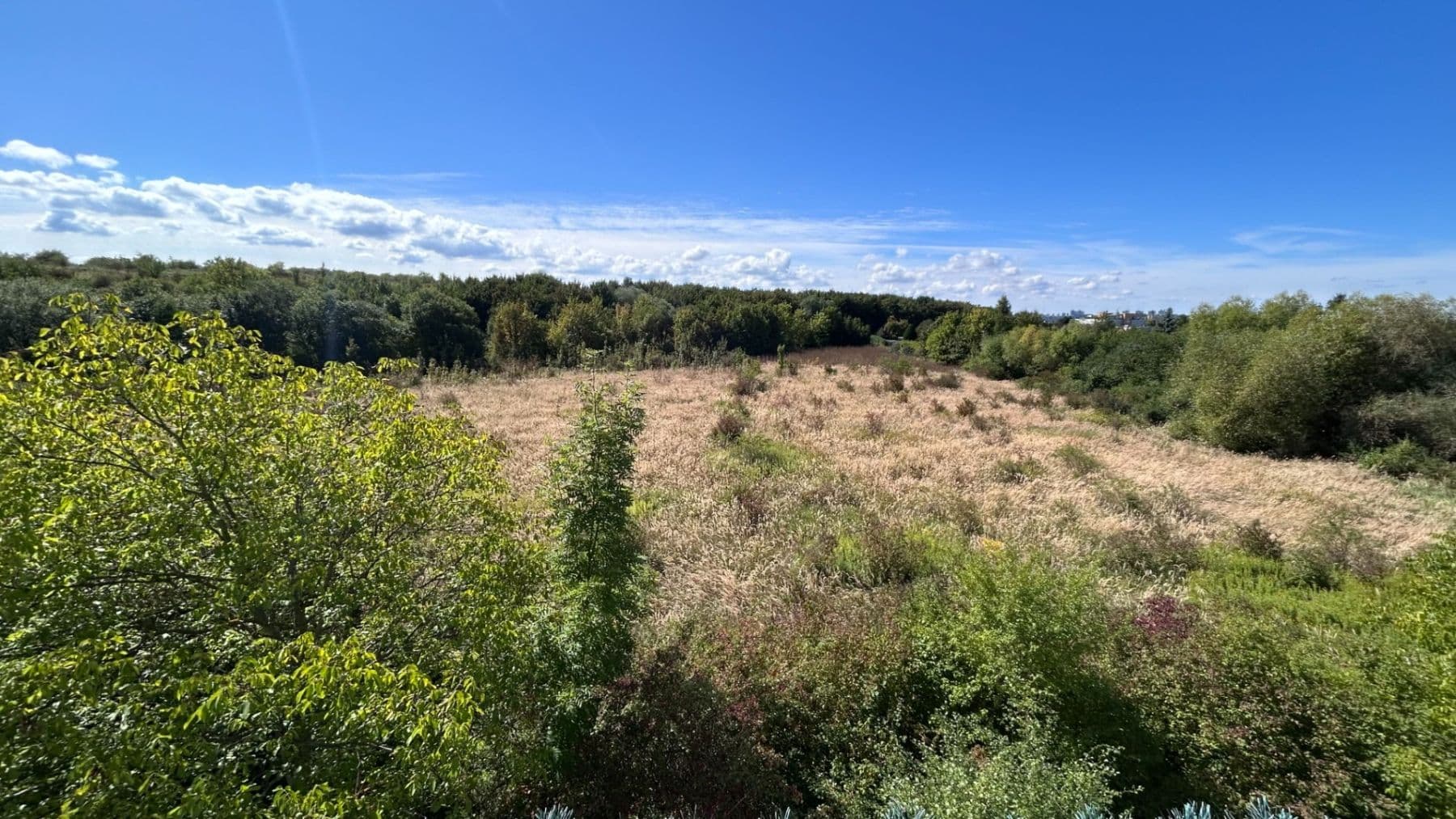 Prodej bytu 1+kk 34 m², Františka Diviše, Praha, Praha Prodej bytu 1+kk 34 m², Františka Diviše, Praha, Praha