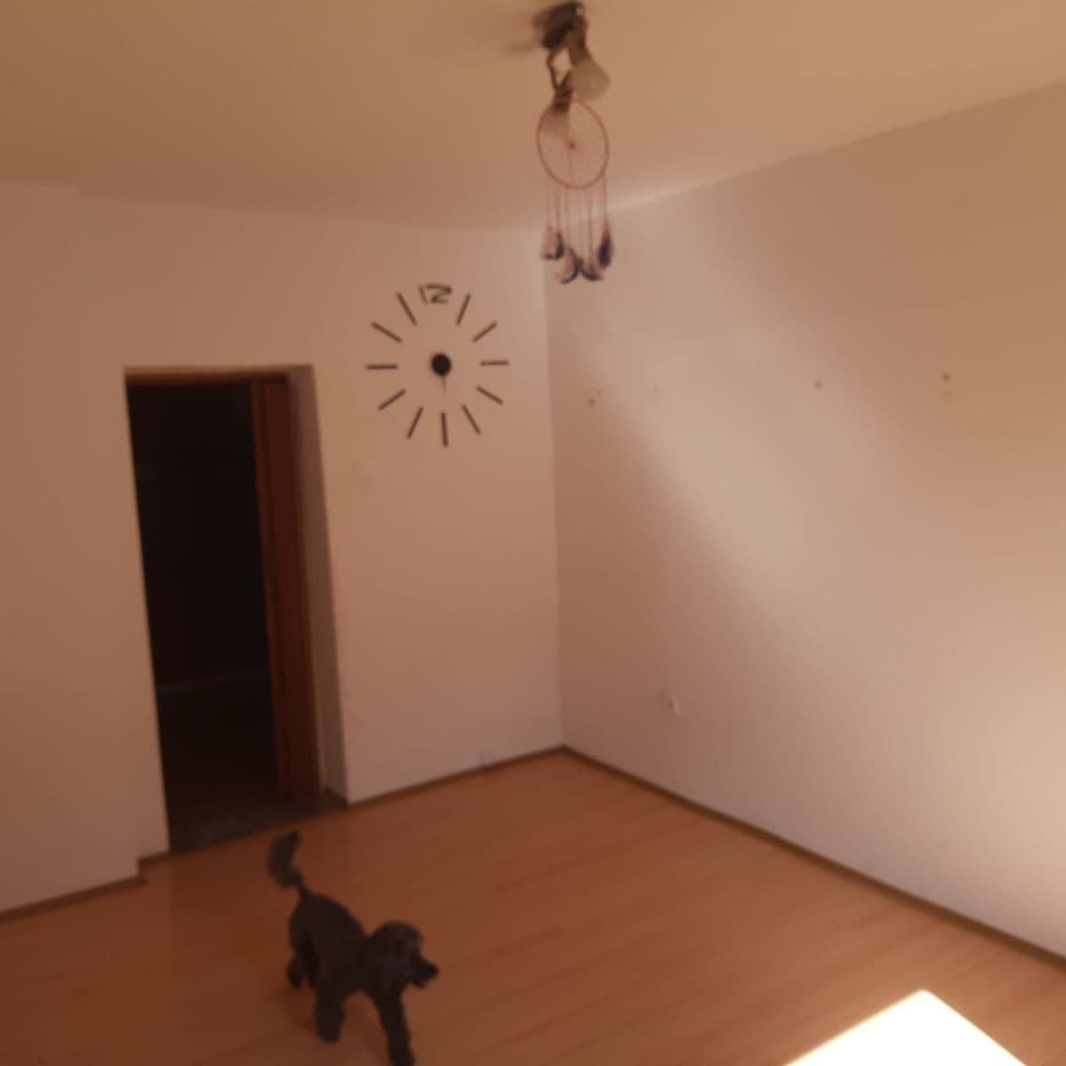 Pronájem bytu 2+kk 51 m², Žižkova, Trmice, Ústecký kraj Pronájem bytu 2+kk 51 m², Žižkova, Trmice, Ústecký kraj