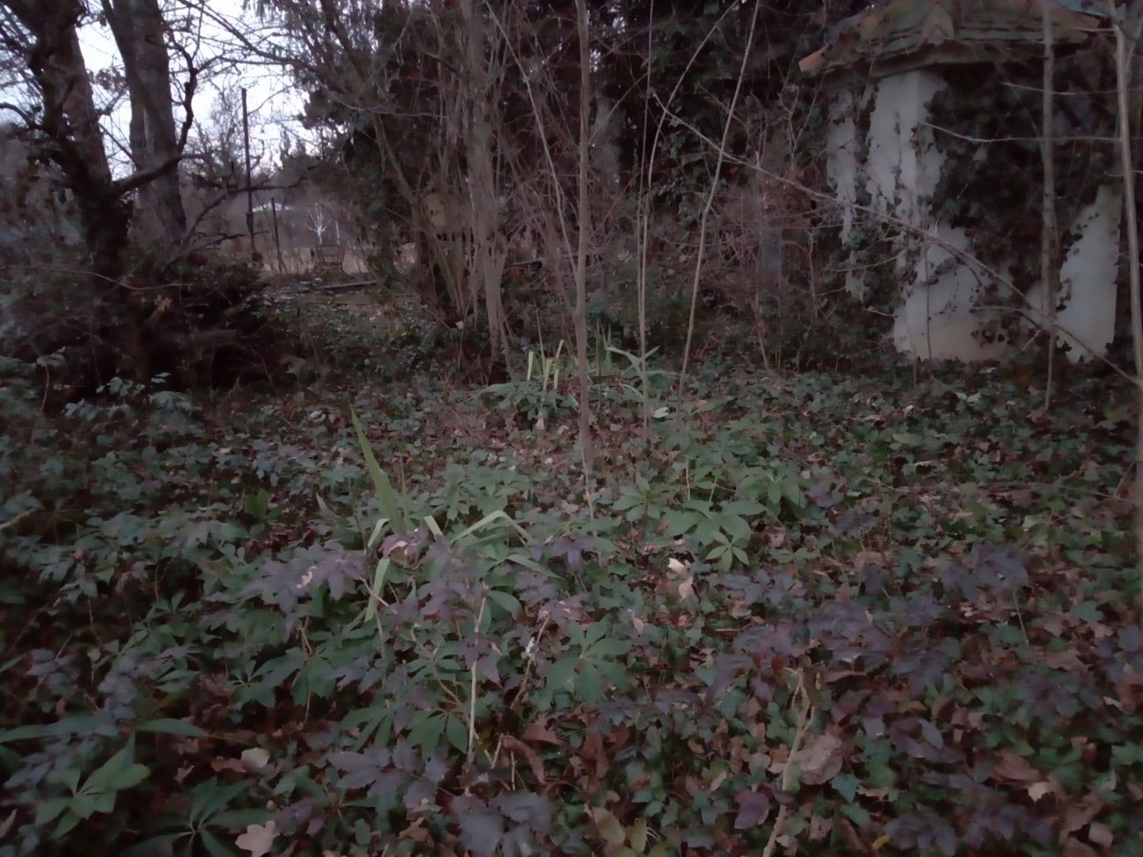 Pronájem pozemku 568 m², Brno, Jihomoravský kraj Pronájem pozemku 568 m², Brno, Jihomoravský kraj