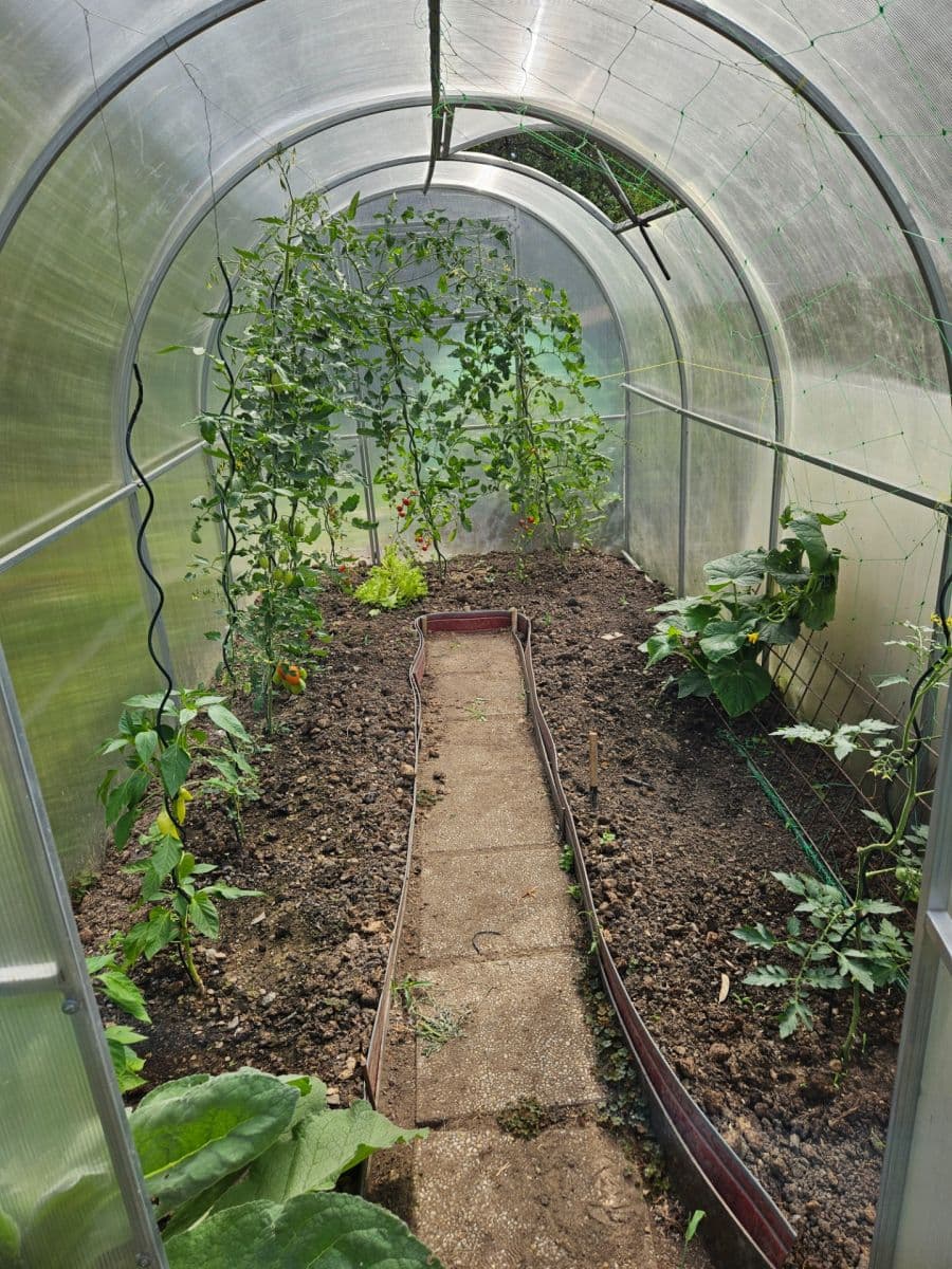 Prodej chaty, chalupy 28 m², pozemek 461 m², K Pazderkám, Praha, Praha Prodej chaty, chalupy 28 m², pozemek 461 m², K Pazderkám, Praha, Praha