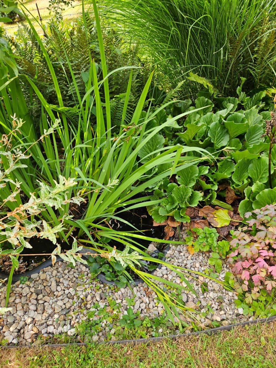 Prodej chaty, chalupy 28 m², pozemek 461 m², K Pazderkám, Praha, Praha Prodej chaty, chalupy 28 m², pozemek 461 m², K Pazderkám, Praha, Praha