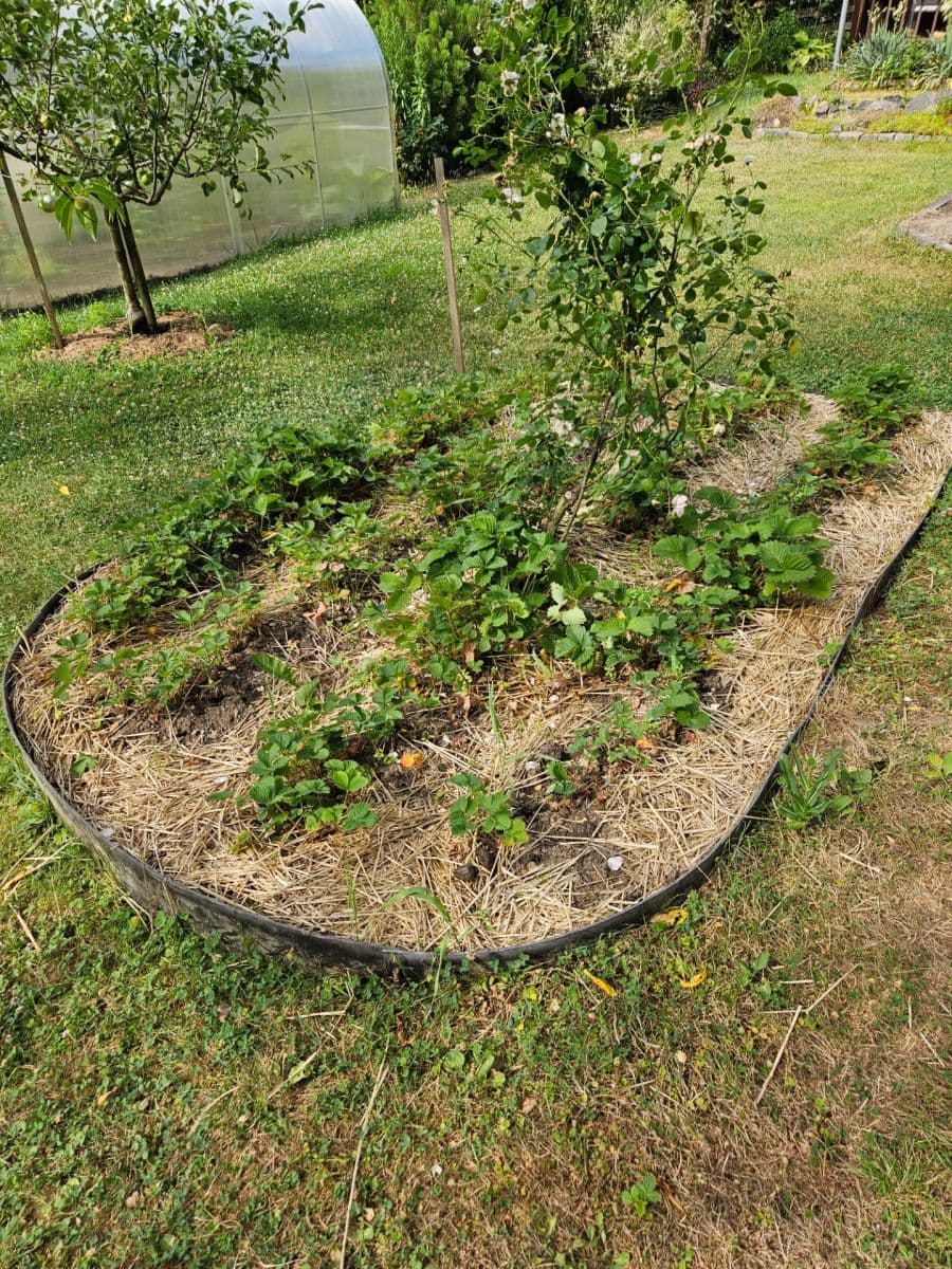 Prodej chaty, chalupy 28 m², pozemek 461 m², K Pazderkám, Praha, Praha Prodej chaty, chalupy 28 m², pozemek 461 m², K Pazderkám, Praha, Praha