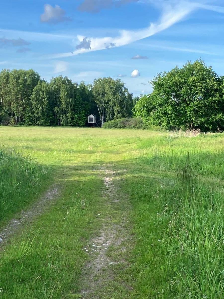 Pronájem chaty, chalupy, Oselce, Plzeňský kraj Pronájem chaty, chalupy, Oselce, Plzeňský kraj