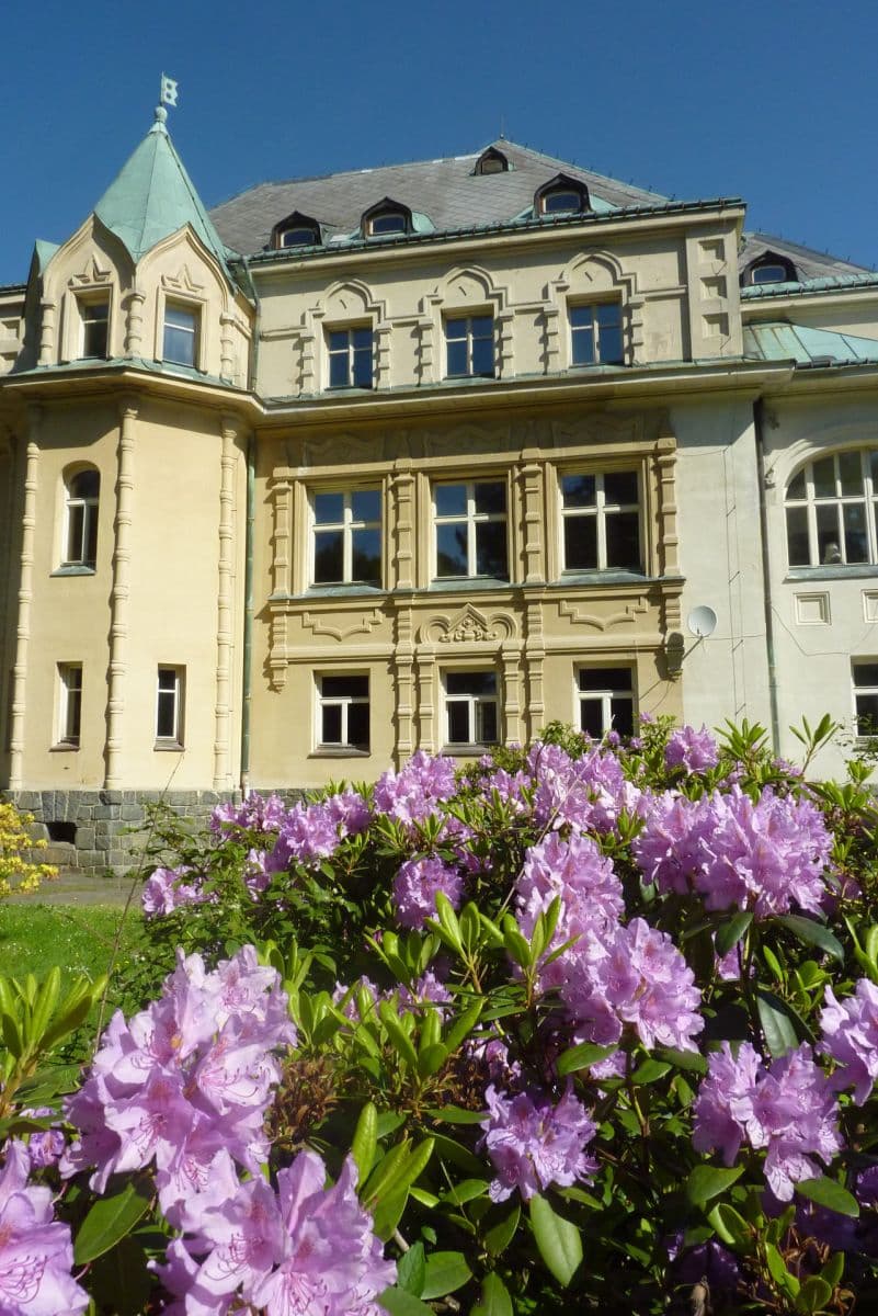 Pronájem domu 3.711 m², Lyžařská, Vysoké nad Jizerou, Liberecký kraj Pronájem domu 3.711 m², Lyžařská, Vysoké nad Jizerou, Liberecký kraj