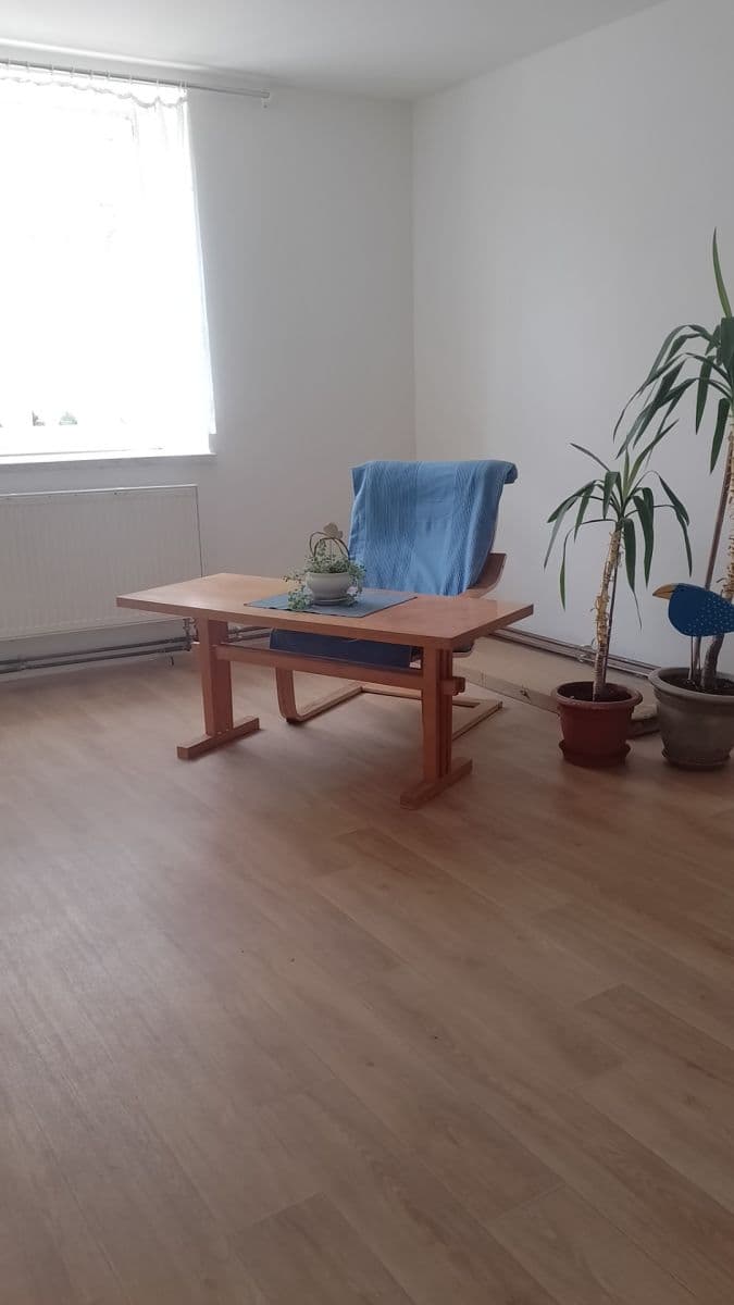 Pronájem bytu 1+1 48 m², Mozartova, Plzeň, Plzeňský kraj Pronájem bytu 1+1 48 m², Mozartova, Plzeň, Plzeňský kraj