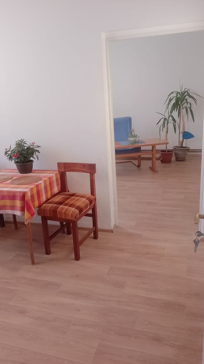 Pronájem bytu 1+1 48 m², Mozartova, Plzeň, Plzeňský kraj Pronájem bytu 1+1 48 m², Mozartova, Plzeň, Plzeňský kraj