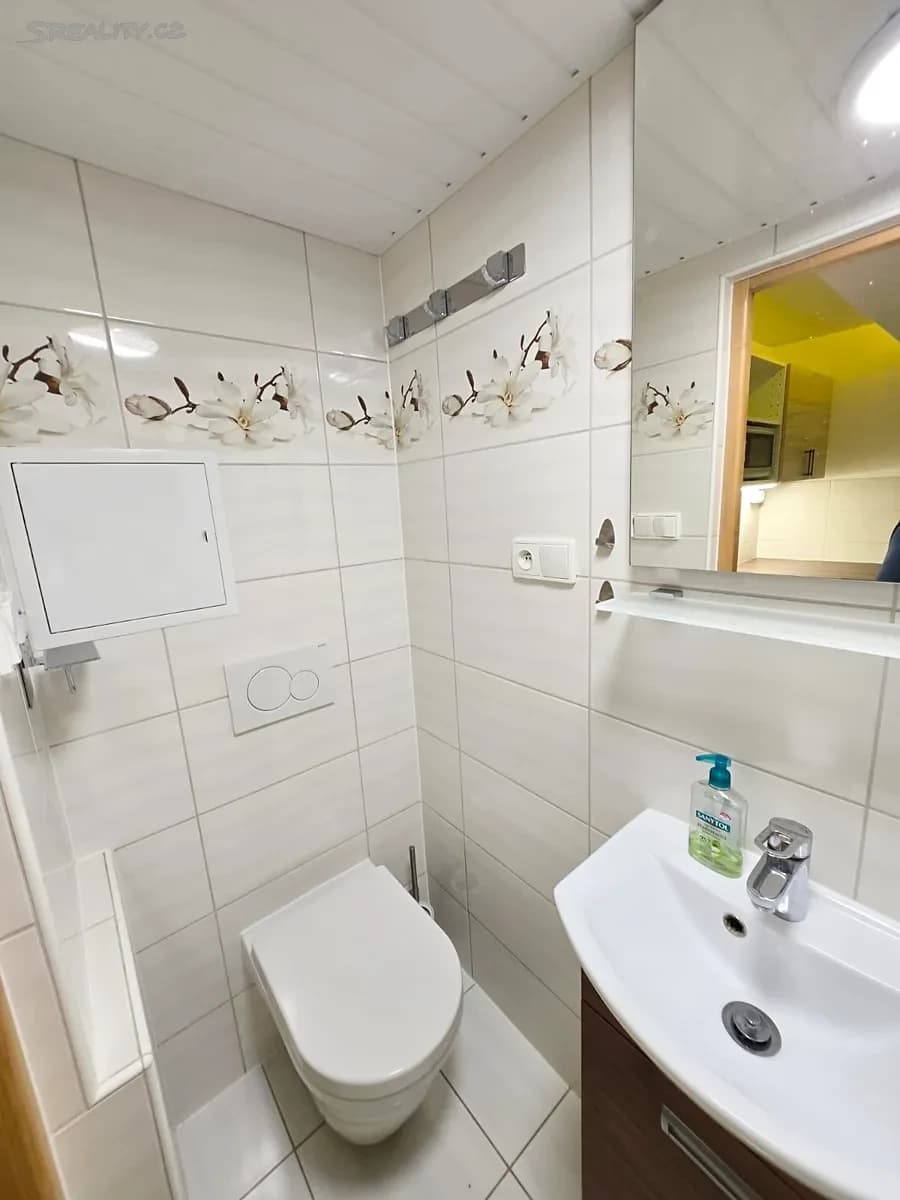 Pronájem bytu 1+kk 25 m², Heranova, Praha, Praha Pronájem bytu 1+kk 25 m², Heranova, Praha, Praha