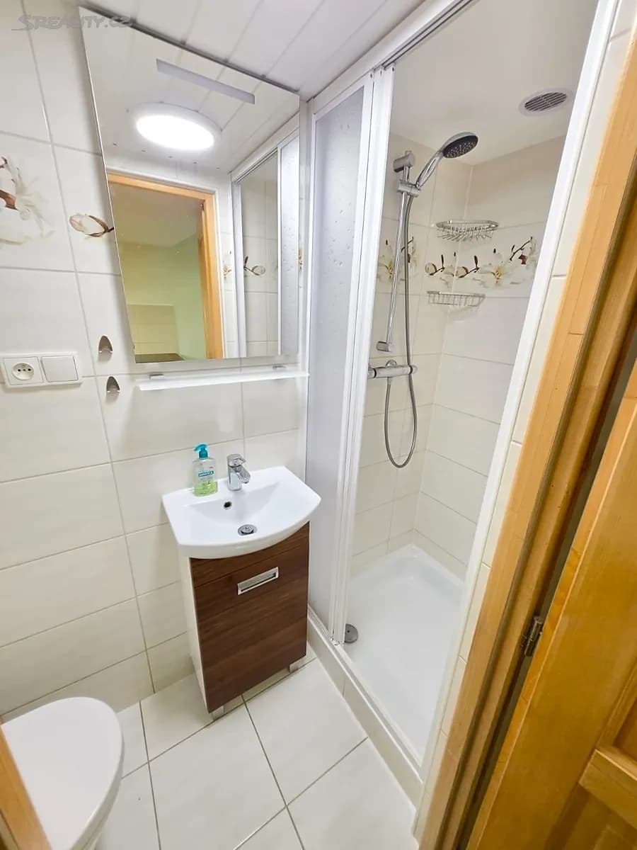 Pronájem bytu 1+kk 25 m², Heranova, Praha, Praha Pronájem bytu 1+kk 25 m², Heranova, Praha, Praha