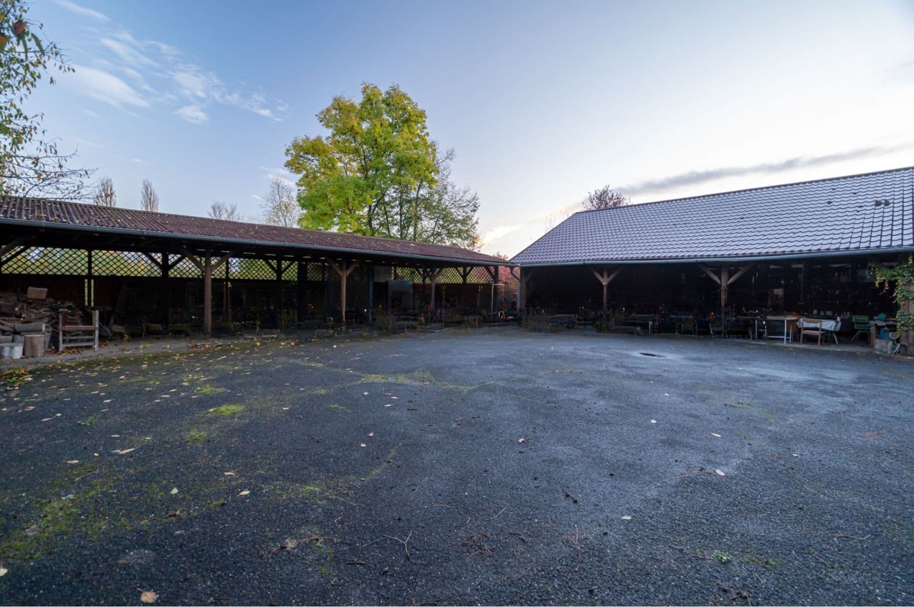 Pronájem domu 250 m², pozemek 10.280 m², Olomouc, Olomoucký kraj Pronájem domu 250 m², pozemek 10.280 m², Olomouc, Olomoucký kraj