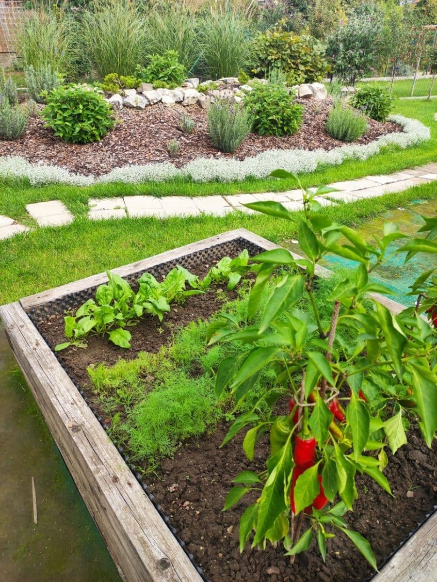 Prodej domu 92 m², pozemek 554 m², Komenského, Šlapanice, Jihomoravský kraj Prodej domu 92 m², pozemek 554 m², Komenského, Šlapanice, Jihomoravský kraj