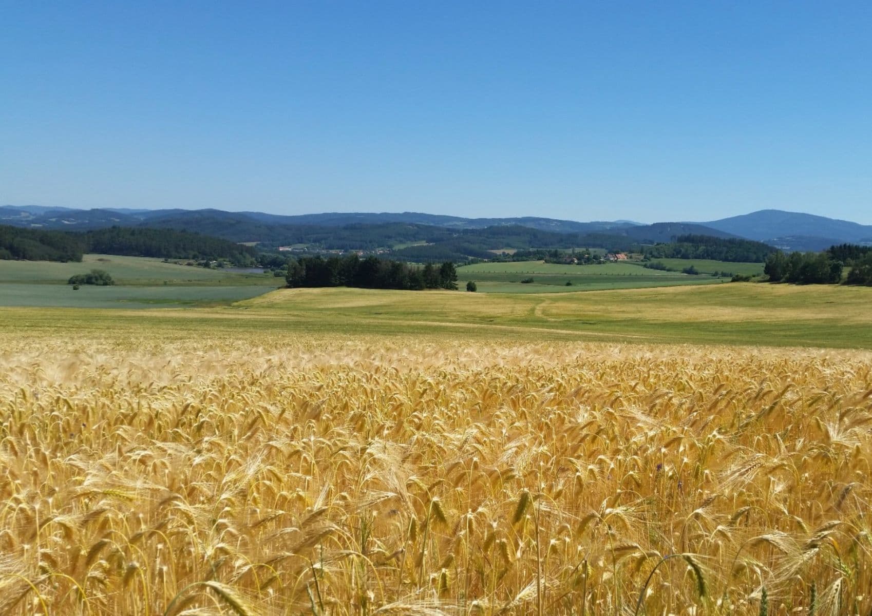 Prodej pozemku 2.502 m², Lipovice, Jihočeský kraj Prodej pozemku 2.502 m², Lipovice, Jihočeský kraj
