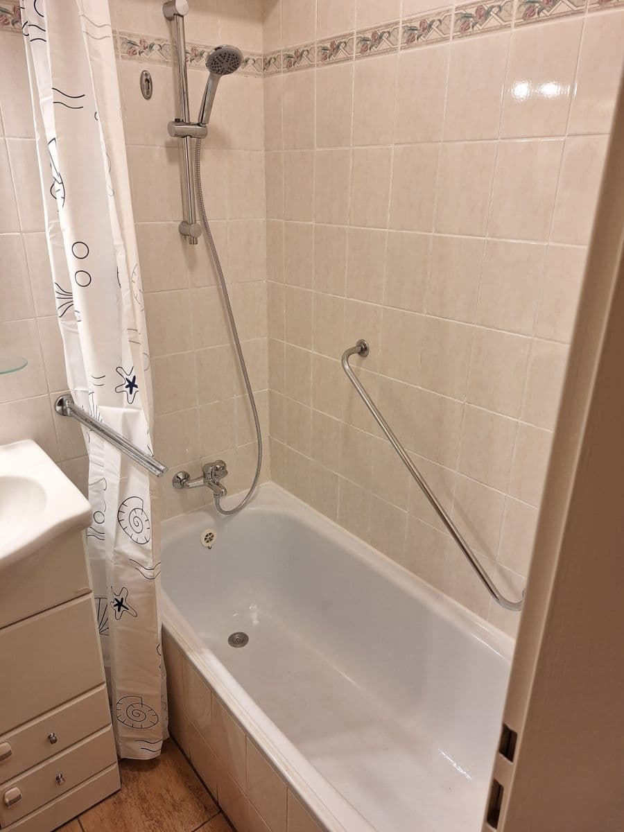 Pronájem bytu 2+kk 48 m², Zachova, Brno, Jihomoravský kraj Pronájem bytu 2+kk 48 m², Zachova, Brno, Jihomoravský kraj