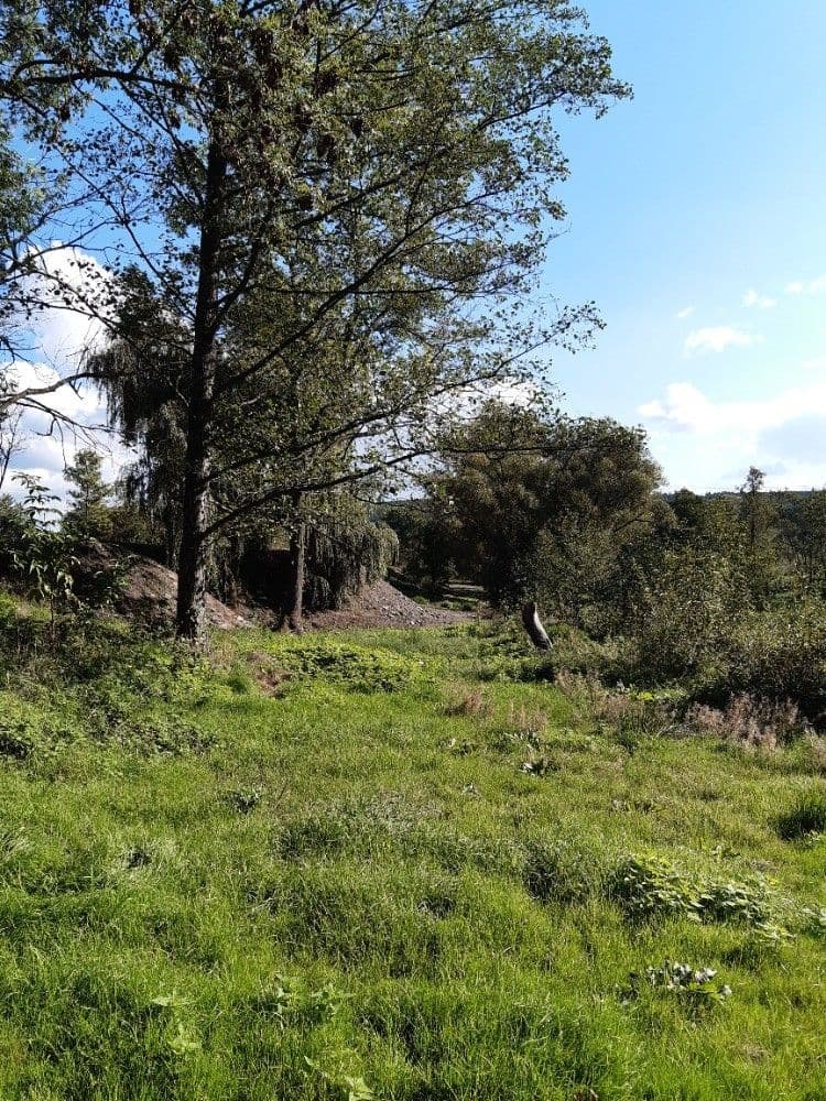 Pronájem nebytového prostoru 400 m², Stříbrná Lhota, Mníšek pod Brdy, Středočeský kraj Pronájem nebytového prostoru 400 m², Stříbrná Lhota, Mníšek pod Brdy, Středočeský kraj