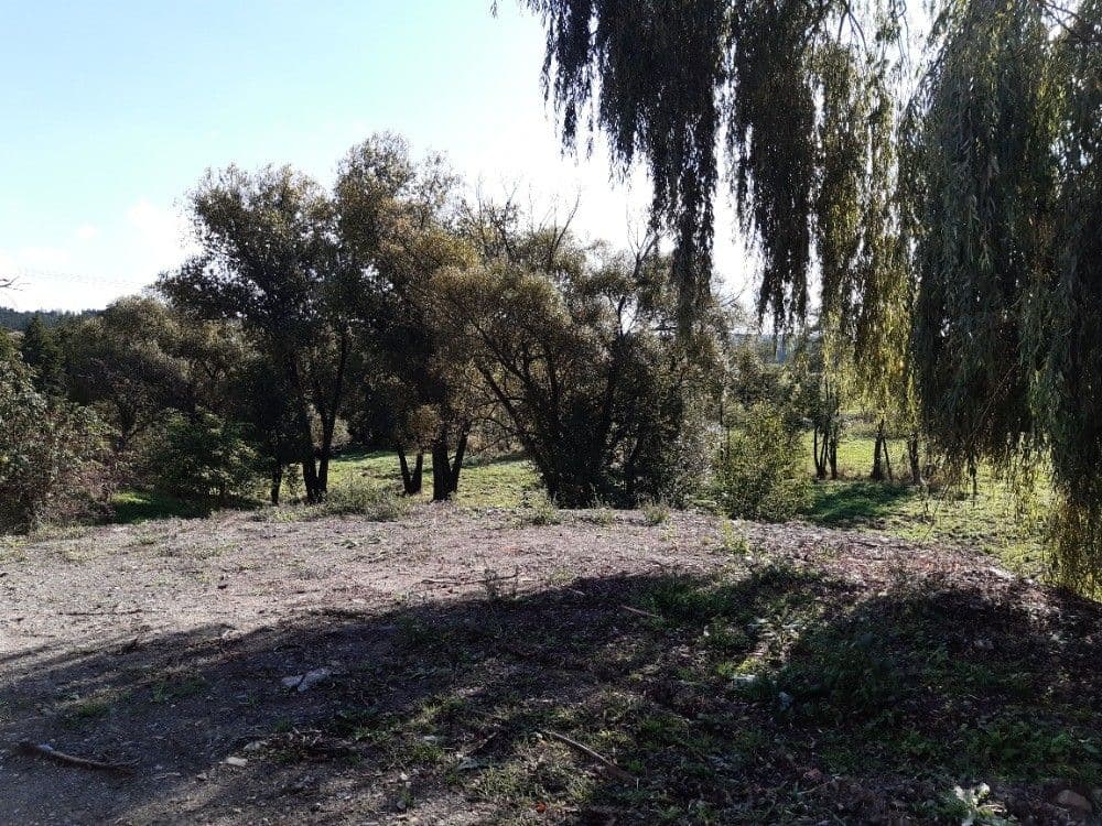 Pronájem nebytového prostoru 400 m², Stříbrná Lhota, Mníšek pod Brdy, Středočeský kraj Pronájem nebytového prostoru 400 m², Stříbrná Lhota, Mníšek pod Brdy, Středočeský kraj