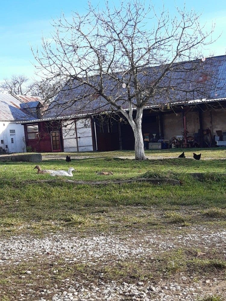Pronájem nebytového prostoru 200 m², Stříbrná Lhota, Mníšek pod Brdy, Středočeský kraj Pronájem nebytového prostoru 200 m², Stříbrná Lhota, Mníšek pod Brdy, Středočeský kraj