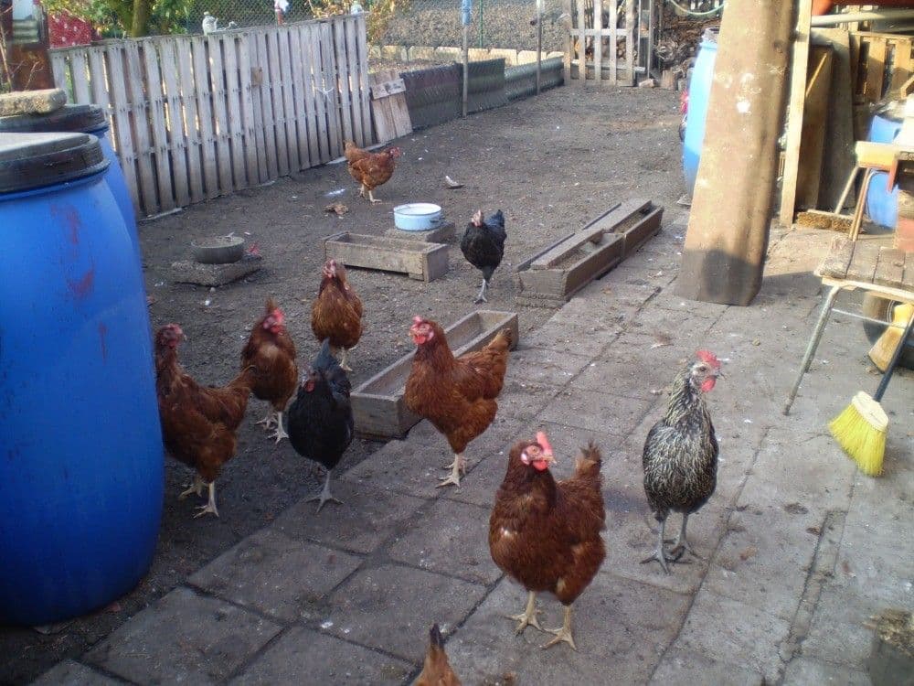 Prodej chaty, chalupy 76 m², pozemek 78 m², Mírová, Podbořany, Ústecký kraj Prodej chaty, chalupy 76 m², pozemek 78 m², Mírová, Podbořany, Ústecký kraj