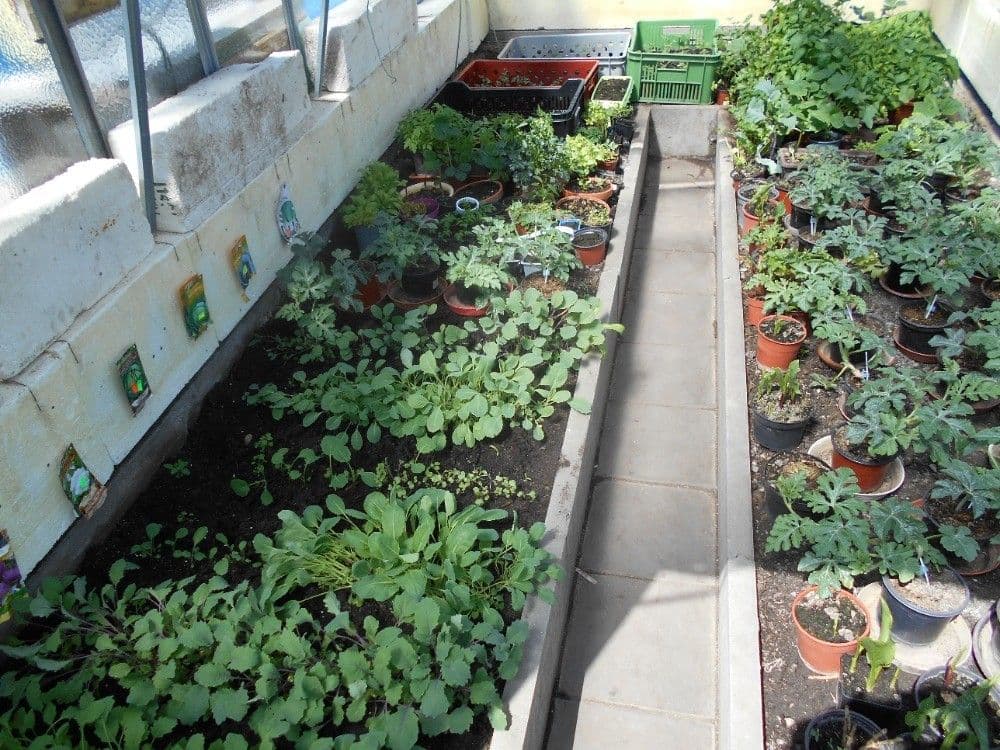 Prodej chaty, chalupy 76 m², pozemek 78 m², Mírová, Podbořany, Ústecký kraj Prodej chaty, chalupy 76 m², pozemek 78 m², Mírová, Podbořany, Ústecký kraj