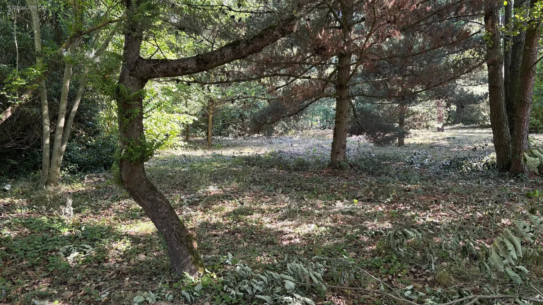 Prodej pozemku 3.385 m², Plzeň, Plzeňský kraj Prodej pozemku 3.385 m², Plzeň, Plzeňský kraj