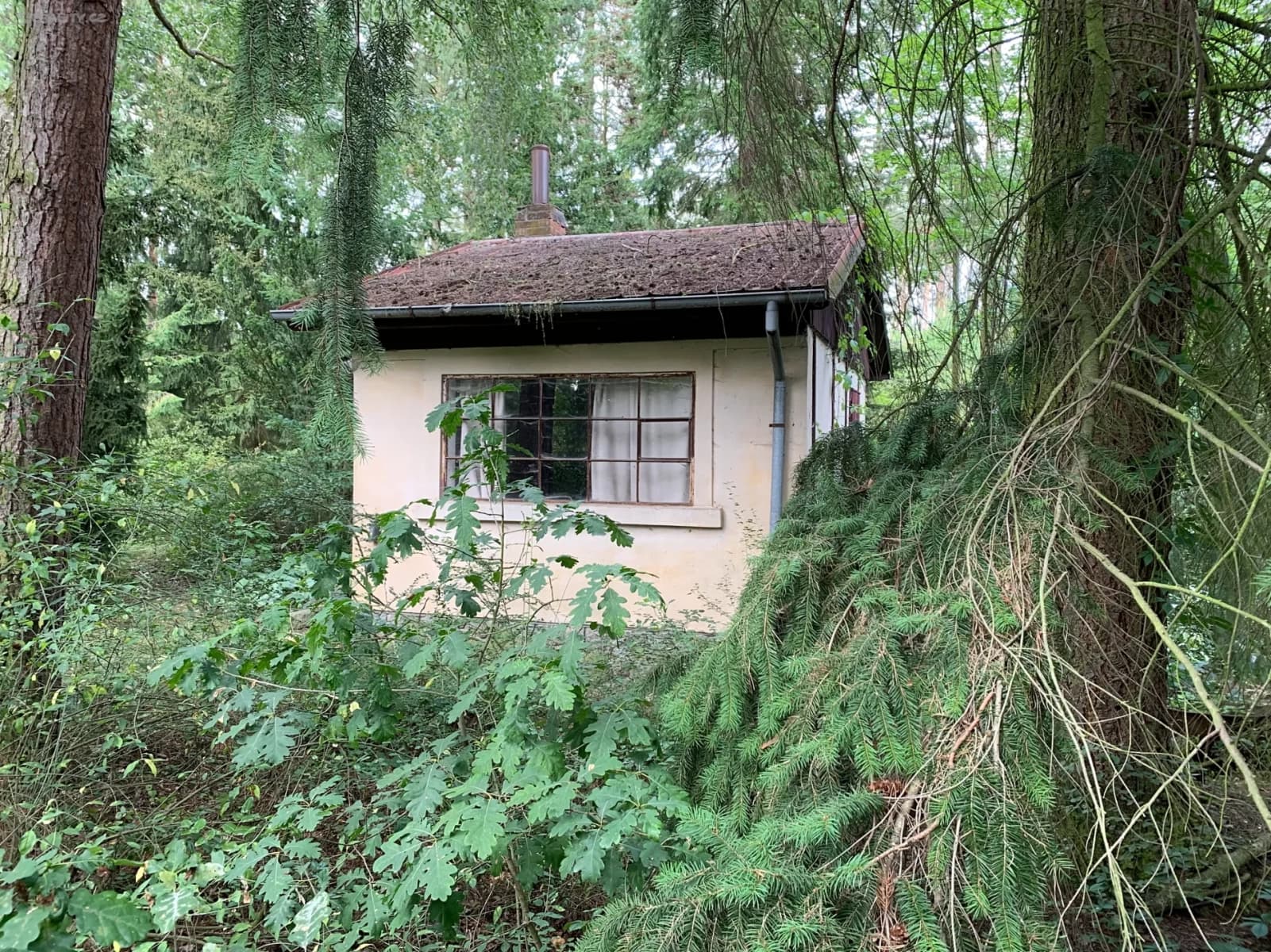 Prodej pozemku 3.385 m², Plzeň, Plzeňský kraj Prodej pozemku 3.385 m², Plzeň, Plzeňský kraj