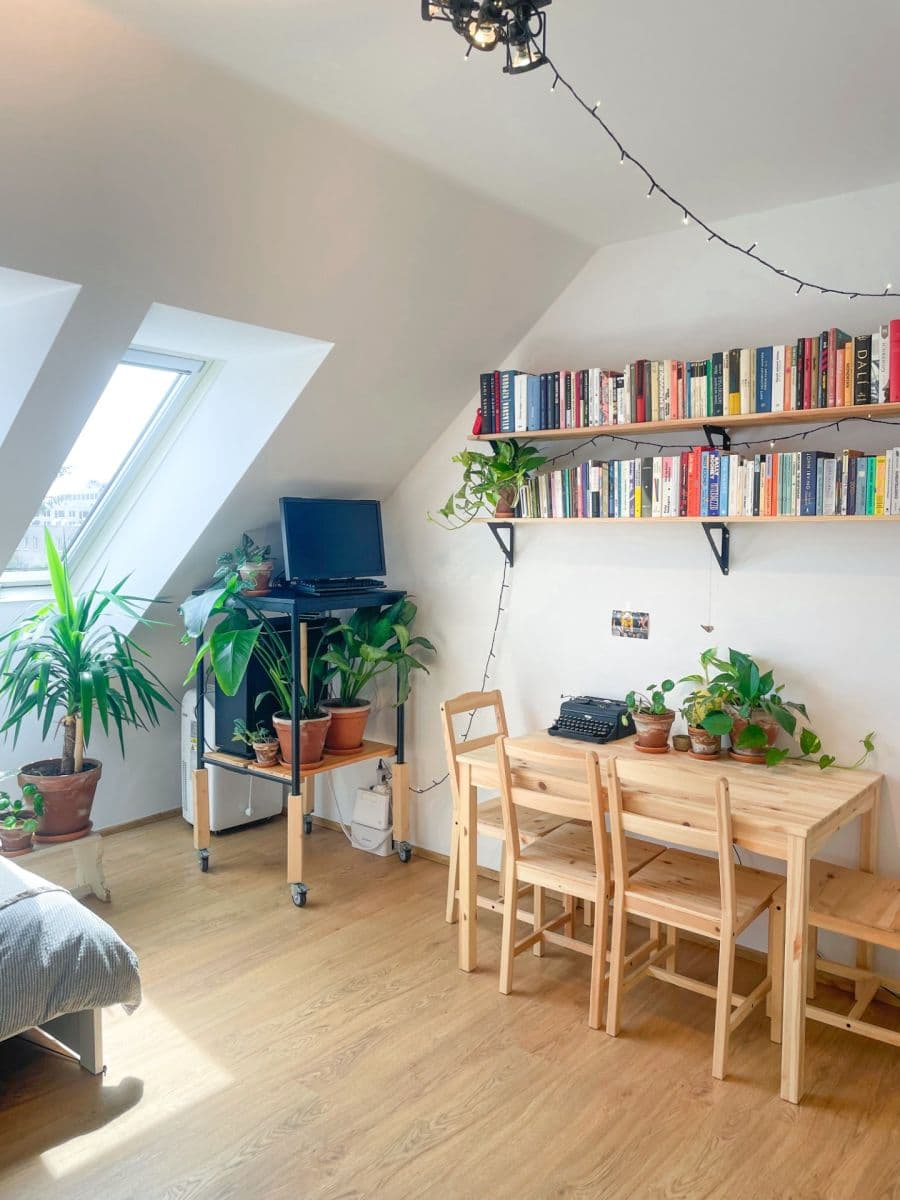 Pronájem bytu 1+kk 26 m², Husovická, Brno, Jihomoravský kraj Pronájem bytu 1+kk 26 m², Husovická, Brno, Jihomoravský kraj