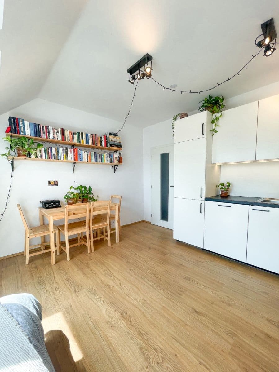 Pronájem bytu 1+kk 26 m², Husovická, Brno, Jihomoravský kraj Pronájem bytu 1+kk 26 m², Husovická, Brno, Jihomoravský kraj
