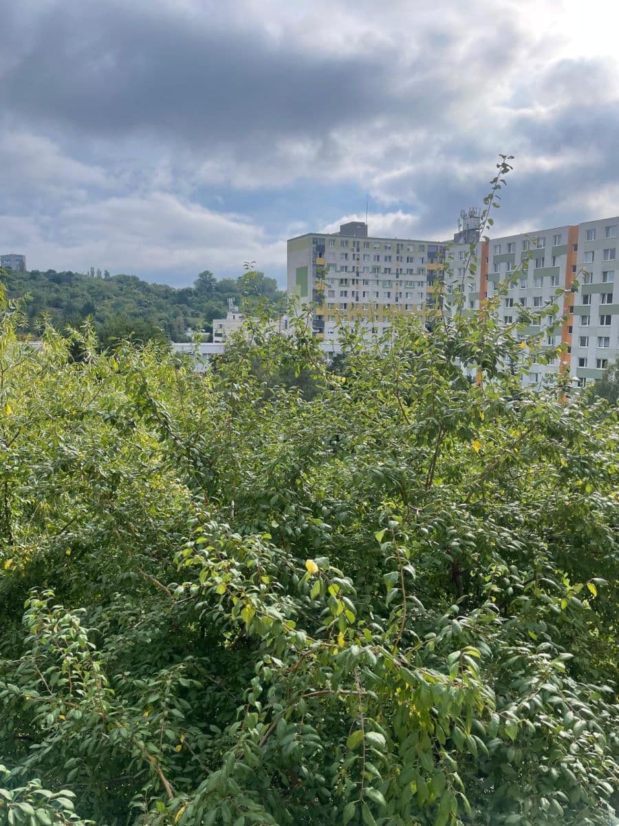 Pronájem bytu 3+1 66 m², Adámiho, Karlova Ves, Bratislavský kraj Pronájem bytu 3+1 66 m², Adámiho, Karlova Ves, Bratislavský kraj