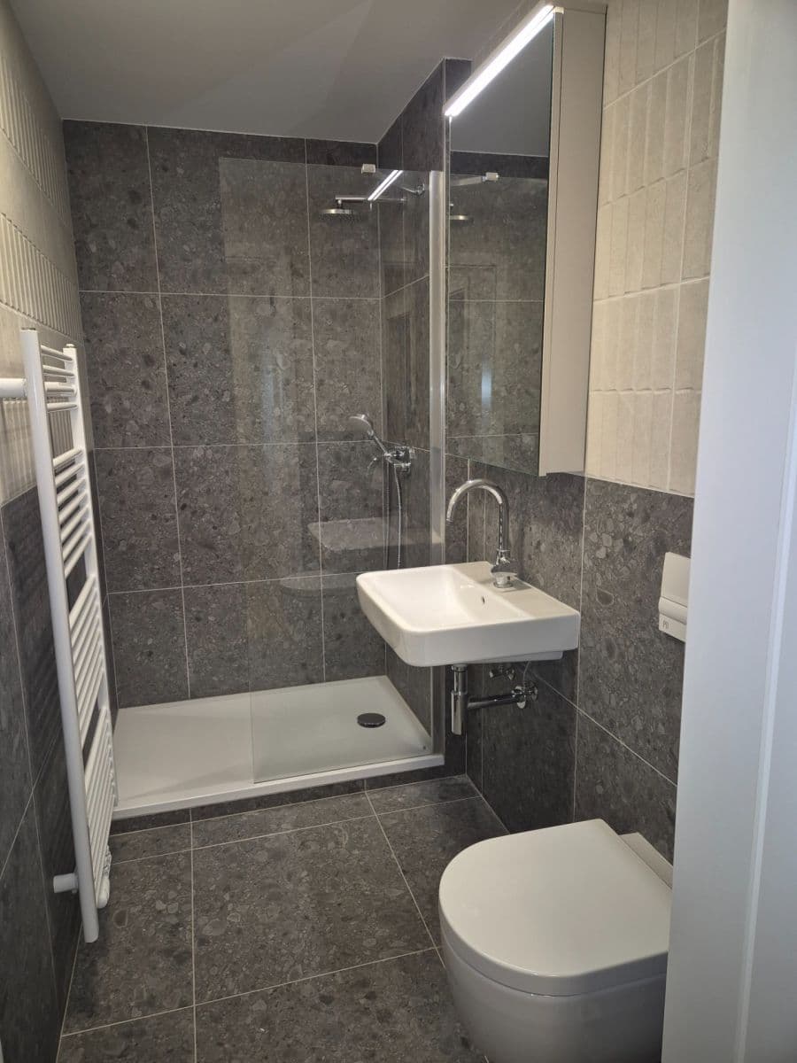 Pronájem bytu 1+kk 37 m², Bratislavská, Brno, Jihomoravský kraj Pronájem bytu 1+kk 37 m², Bratislavská, Brno, Jihomoravský kraj