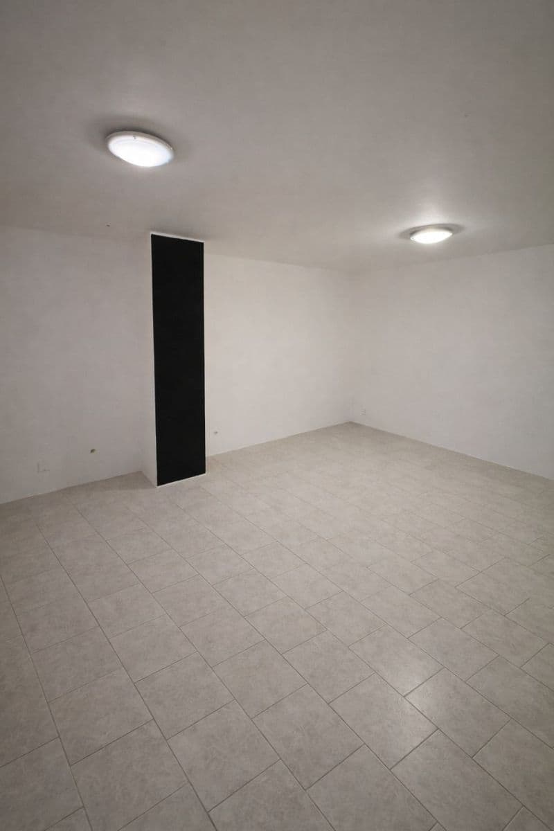 Pronájem nebytového prostoru 48 m², Oldřichova, Praha, Praha Pronájem nebytového prostoru 48 m², Oldřichova, Praha, Praha