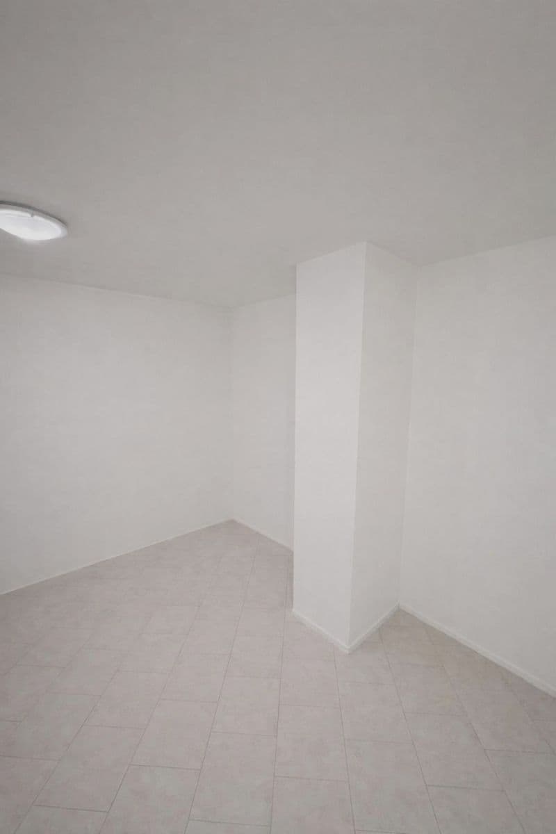 Pronájem nebytového prostoru 48 m², Oldřichova, Praha, Praha Pronájem nebytového prostoru 48 m², Oldřichova, Praha, Praha