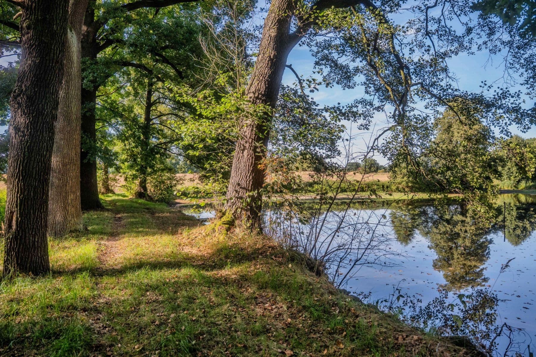 Prodej pozemku 2.102 m², Lásenice, Jihočeský kraj Prodej pozemku 2.102 m², Lásenice, Jihočeský kraj