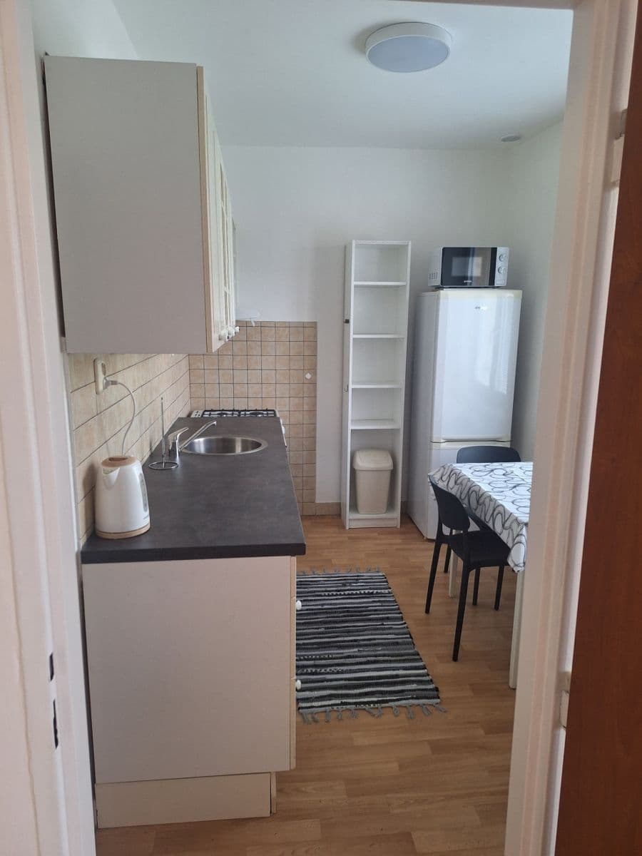 Pronájem bytu 2+1 57 m², Úvoz, Brno, Jihomoravský kraj Pronájem bytu 2+1 57 m², Úvoz, Brno, Jihomoravský kraj