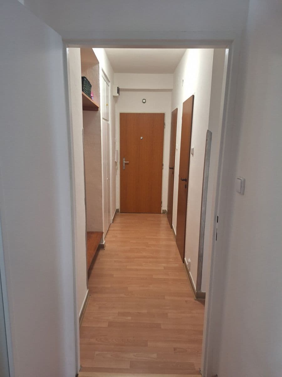 Pronájem bytu 2+1 57 m², Úvoz, Brno, Jihomoravský kraj Pronájem bytu 2+1 57 m², Úvoz, Brno, Jihomoravský kraj
