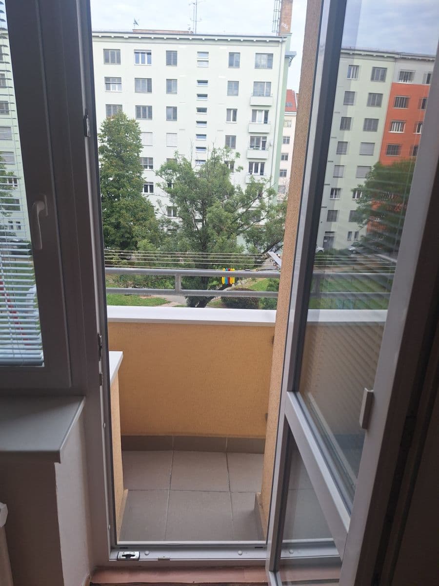 Pronájem bytu 2+1 57 m², Úvoz, Brno, Jihomoravský kraj Pronájem bytu 2+1 57 m², Úvoz, Brno, Jihomoravský kraj